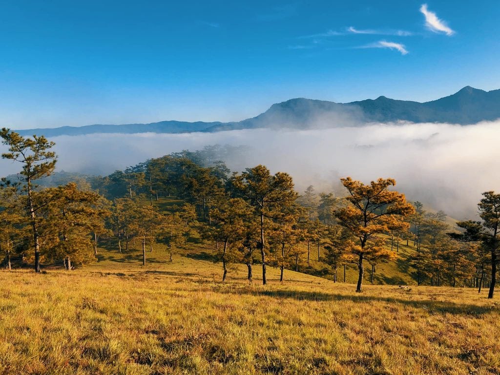 Đồi Đa Phú Đà Lạt